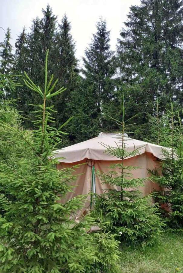 Eco Glamping - Carpathians. Retreat Hub Dzin Space Verchovyna Exteriér fotografie