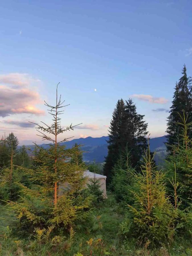 Eco Glamping - Carpathians. Retreat Hub Dzin Space Verchovyna Exteriér fotografie