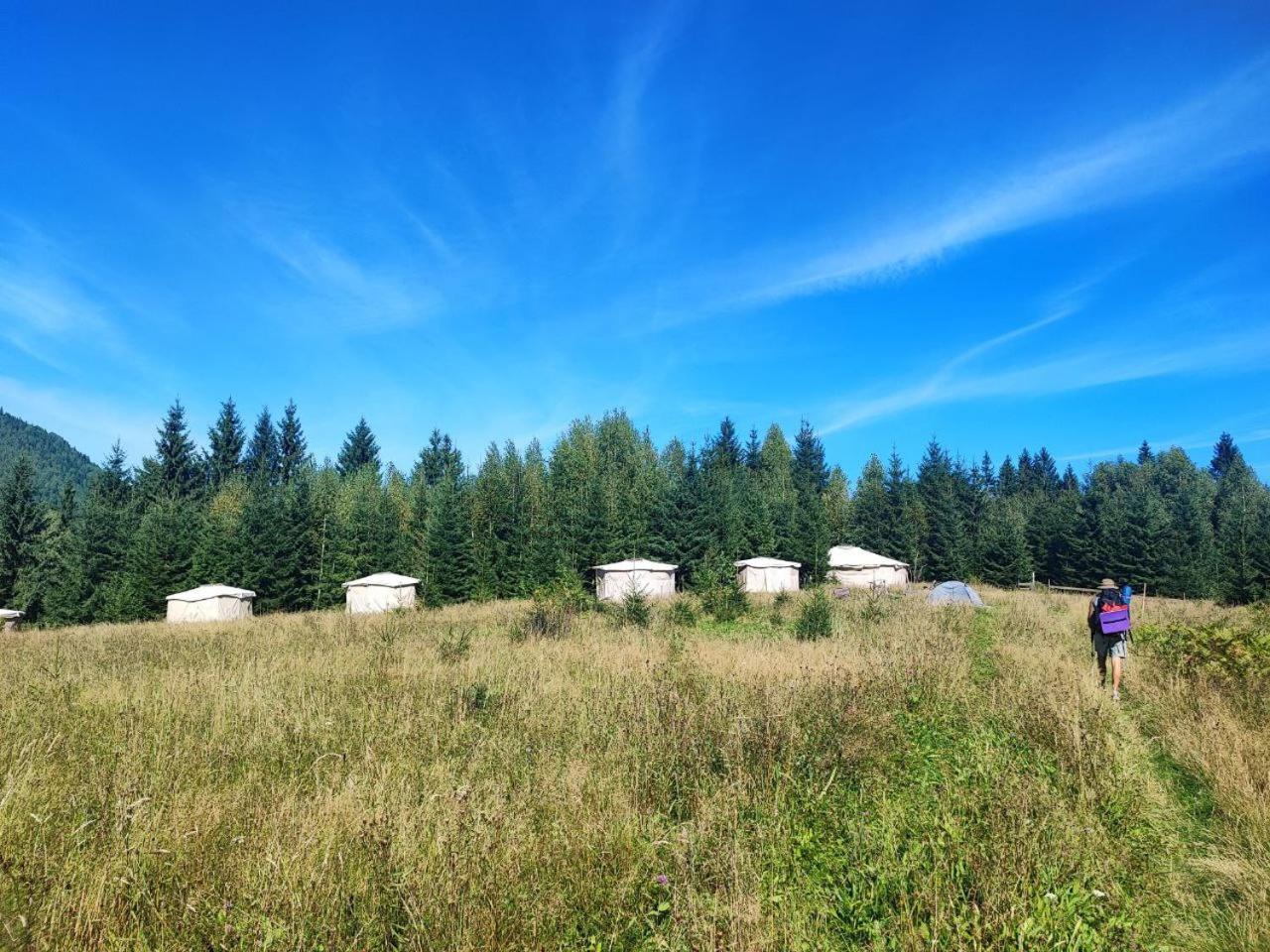 Eco Glamping - Carpathians. Retreat Hub Dzin Space Verchovyna Exteriér fotografie
